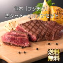 馬肉 熊本 「フジチク」 馬 シャトーブリアン セット ヒレ肉 ヒレ ひれ ヘレ お肉 ギフト ヒレステーキ ヘレステーキ ステーキセット お取り寄せグルメ お...