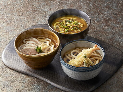 【期間限定 ポイント還元中】 送料無料 香川・小豆島 「うす家」 3種の手延うどんセット 計5個 カレー手延うどん540g、鴨南蛮手延うどん520g×各2、えび天手延うどん580g×1 【期間限定 ポイント還元中】 送料無料 香川・小豆島 「うす家」 3種の手延うどんセット 計5個 カレー手延うどん540g、鴨南蛮手延うどん520g×各2、えび天手延うどん580g×1