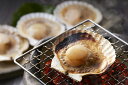 【期間限定 ポイント還元中】 送料無料 北海道産 帆立片貝 14枚(75g×14) お取り寄せ ギフト 詰合せ セット グルメ