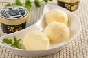【期間限定 ポイント還元中】 送料無料 北海道 「乳蔵」 プレミアムバニラアイス8個 お取り寄せ ギフト 詰合せ セット グルメ