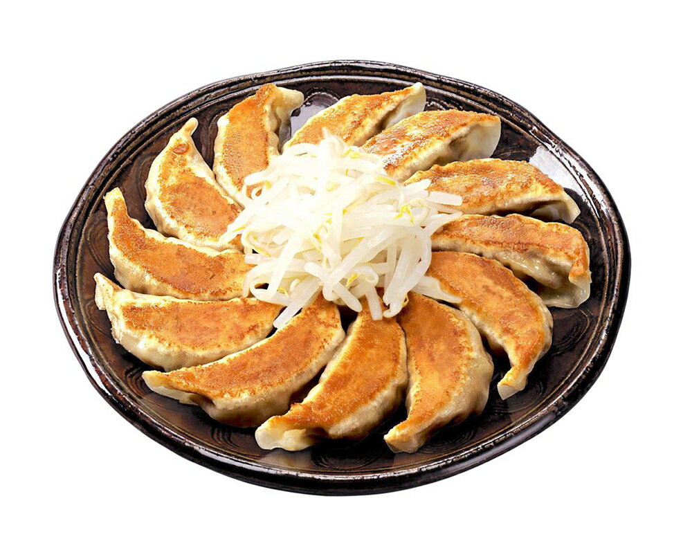 【期間限定 ポイント還元中】 送料無料 静岡 「五味八珍」 浜松餃子4袋セット