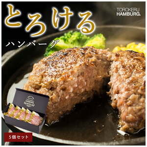 【ハンバーグ師匠 絶賛】とろける ハンバーグ 5個セット 特製ソース付 肉 お取り寄せ 和牛 ギフト お歳暮 贈答用でも喜ばれる金箔ロゴパッケージ付