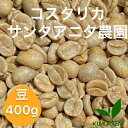 自家焙煎珈琲豆 コスタリカ　サンタアニタ農園 【400g】