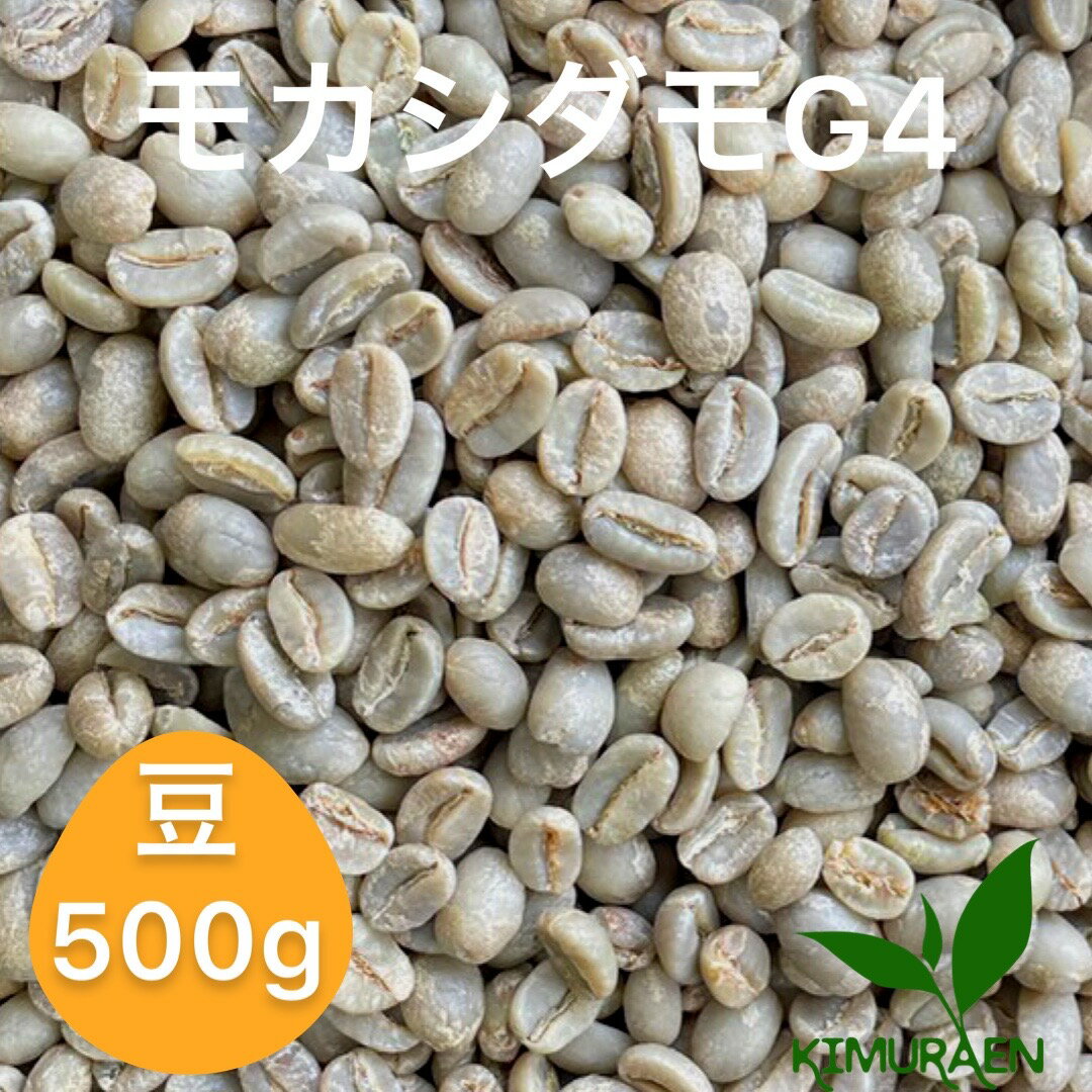 自家焙煎珈琲豆 モカシダモ　G2【500g】