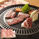 さくらポークバラ焼肉＆岩塩SY-40【送料無料】【メーカー直送】 ギフトセット☆食べ物 お取り寄せグルメ プレゼント ギフト 誕生日 出産内祝い 結婚内祝い 結婚祝い 引き出物 お祝い お返し 快気祝い お祝い返し 母の日