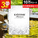 【無期限・有効期限延長保証付き】エグゼタイム プラチナム EXETIME Platinum ★10個 ...