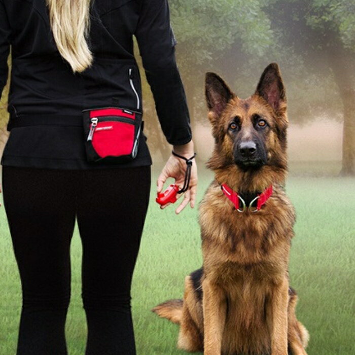 【犬しつけクリッカー】イージードッグ コマンドクリッカー