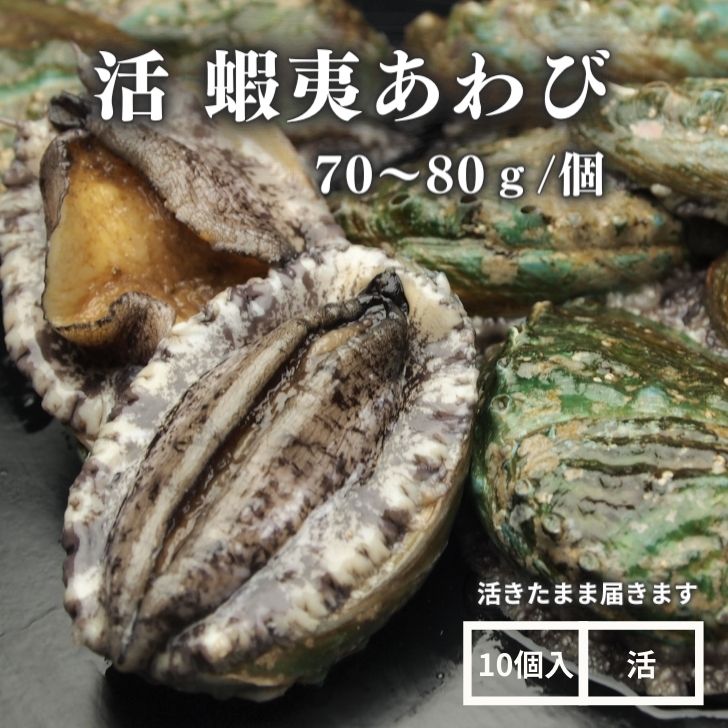 【活】活蝦夷あわび（70〜80g）10個セット