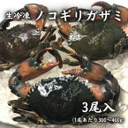 【冷凍】ノコギリガザミ 3尾セット（300g〜400g／個）