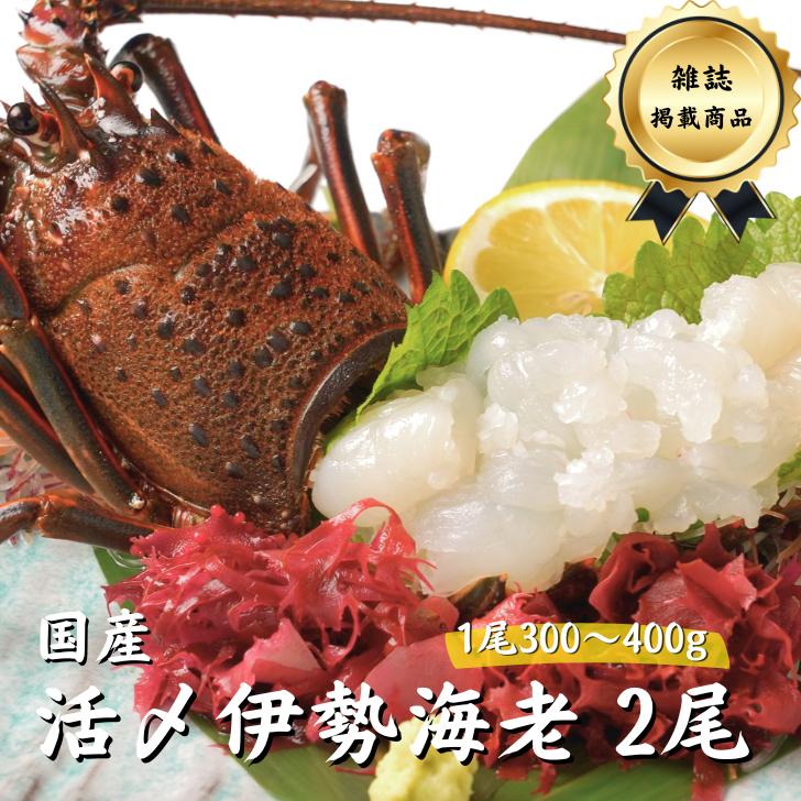 ۹ 衺Ϸ2åȡ300400g