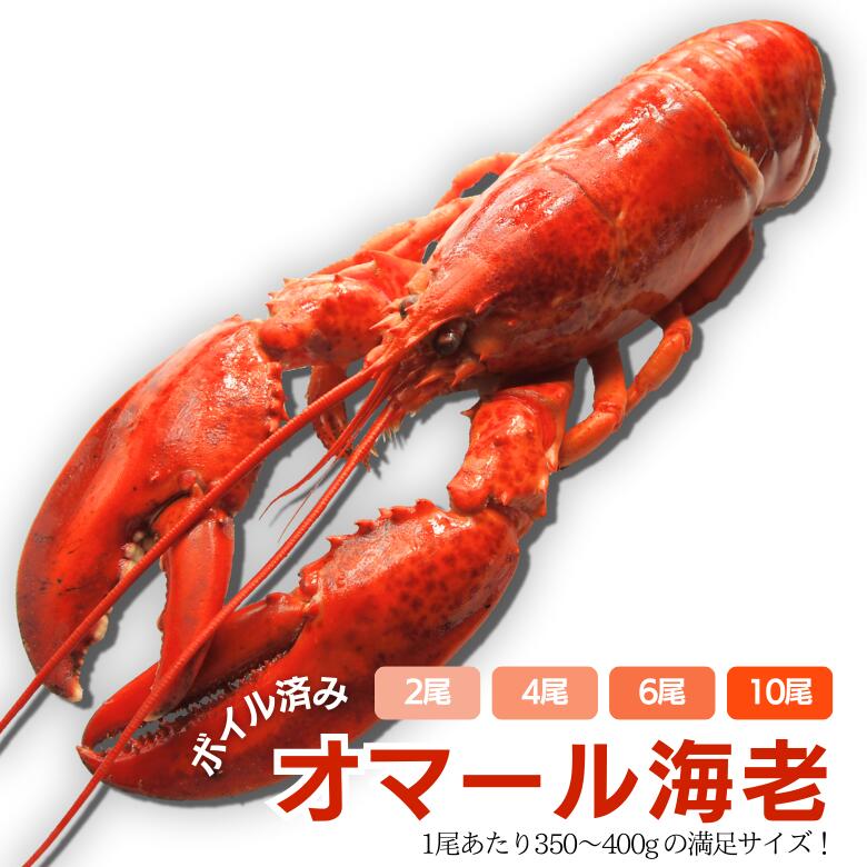 【冷凍】ボイル済みオマール海老 350〜400g