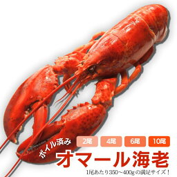 オマールエビ（ロブスター） 【冷凍】ボイル済みオマール海老　350〜400g