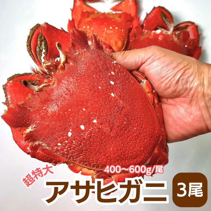 【ふるさと納税】【毛蟹とシシャモ！】毛ガニ350g×1尾&ししゃもメス（大）×20尾 北海道 釧路 ふるさと納税 セット 詰合せ 詰め合わせ かに 蟹 カニ シシャモ 魚介類 海産物 F4F-0427