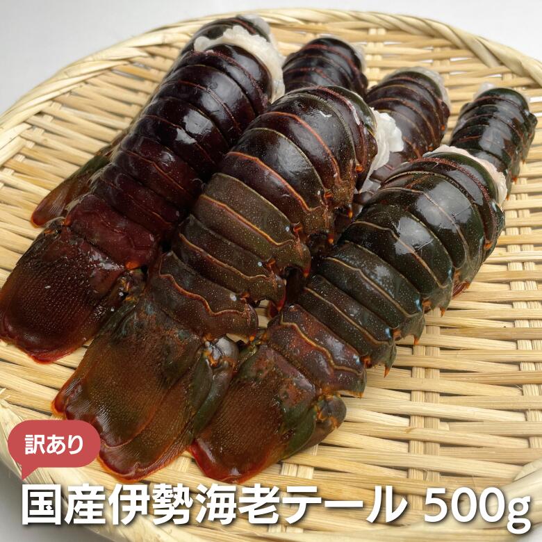 【冷凍】国産伊勢海老テール 500g（訳あり）