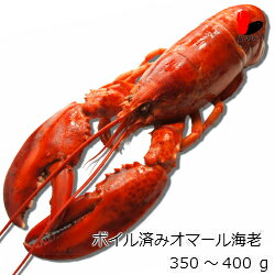 【冷凍】ボイル済みオマール海老　350〜400g　10尾セット
