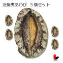 商品画像2