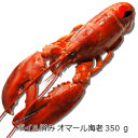 【冷凍】ボイル済みオマール海老　350g