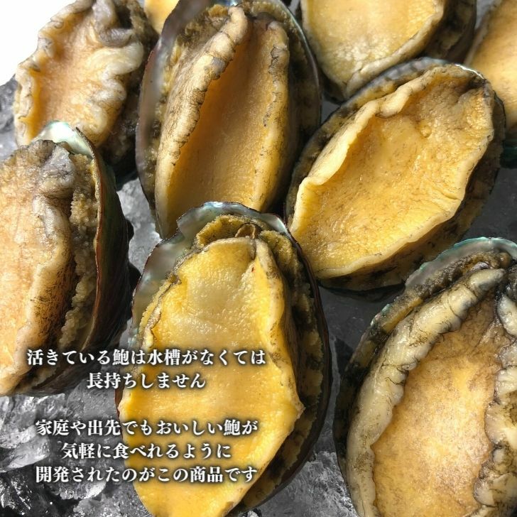 ������ۼ�����ѡ�BBQ�Ѥ���ӡ�7-10γ����