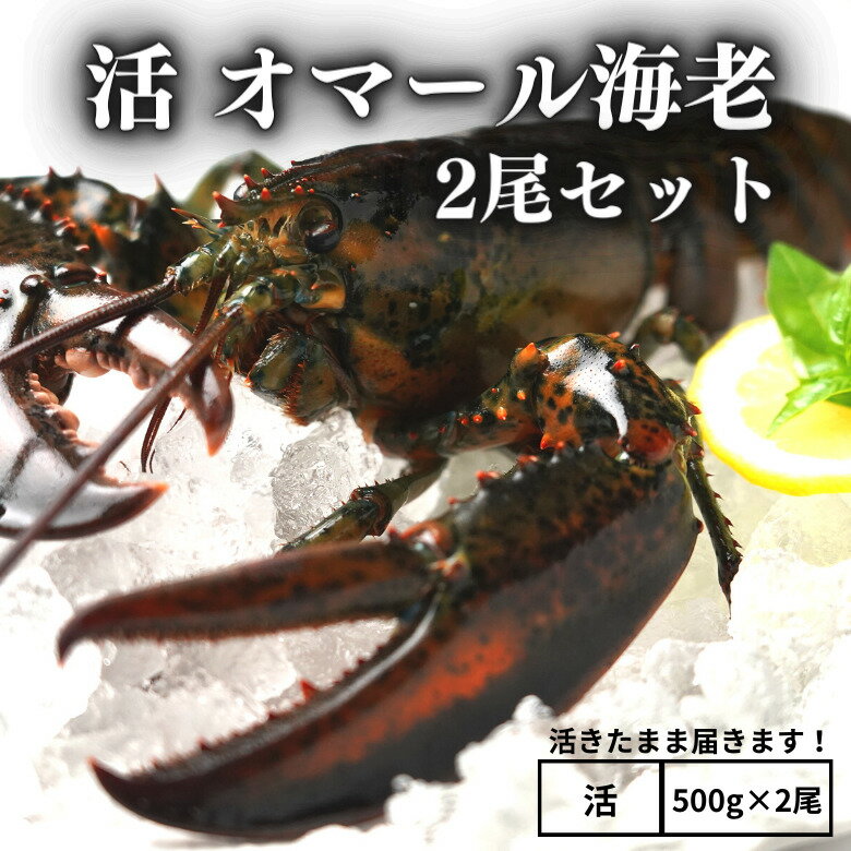 【活】活オマール海老　500g×2尾セットのサムネイル