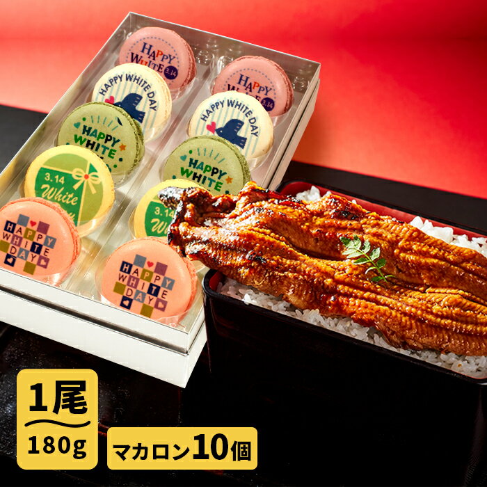 送料無料 父の日 お中元 誕生日 人気のお取り寄せ ギフト プレゼント ごかせ川の鰻 180g×1本 ホワイトデー メッセージマカロン10個セット 国産 うなぎ ギフト