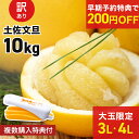 【早期予約で4,320円⇒4,120円！】【 送料無料 】 大玉 限定 土佐 文旦 ★ 訳あり 土佐文旦（ 露地 ） 10kg サイズ(価値ある・3L／4L(大玉)限定) わけあり フルーツ 【ご家庭用】(北海道・沖縄は別当送料が必要です) 実用的 ギフト 御