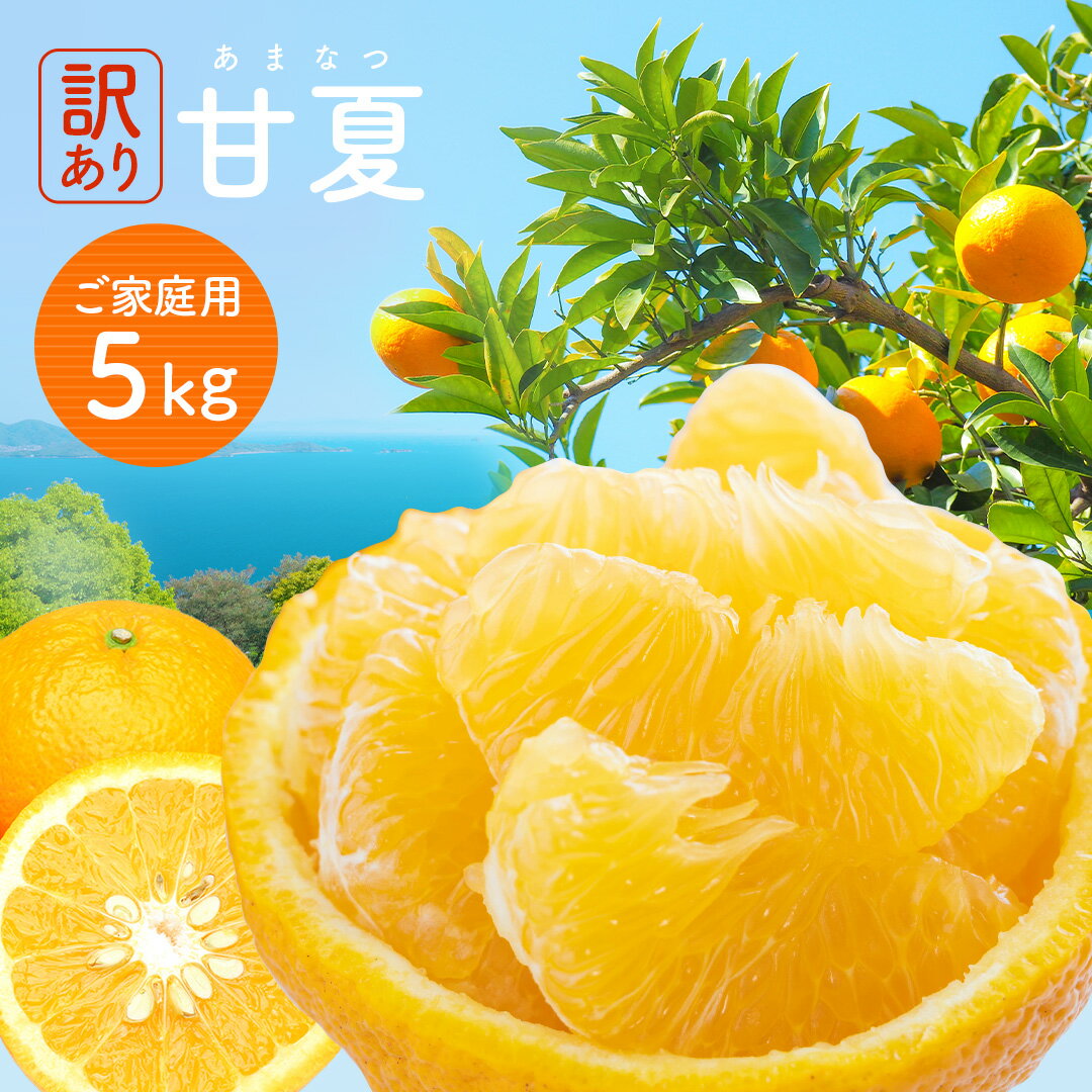 【 楽天スーパーSALE 10%OFF 2 232円 】訳あり甘夏 5kg みかん 訳アリ 愛媛みかん 愛媛県産 ミカン スイーツ フルーツ 果物 くだもの 食品 柑橘 青果 不揃い 傷 家庭用 自宅用 実用的 大容量 …