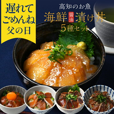 父の日 遅れてごめんね 海鮮丼5種【 送料無料 】 お取り寄せ お取り寄せギフト 魚 刺身 高知 海鮮 内祝い 出産祝い 結婚祝い 還暦祝い 入学祝い 父の日ギフト 父 父親 お父さん 義父 プレゼン...