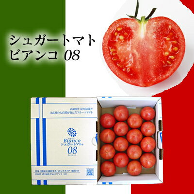 ＼ 店内全品 ポイント2倍 ／ 高知県日高村産 シュガートマト フルーツトマト ビアンコ 16玉入り お取り寄せ グルメ トマト とまと 野菜 内祝い お祝い ご祝儀 出産祝い 結婚祝い 還暦祝い 大容量 お土産 実用的 ギフト 人気 お中元 御中元 中元のサムネイル
