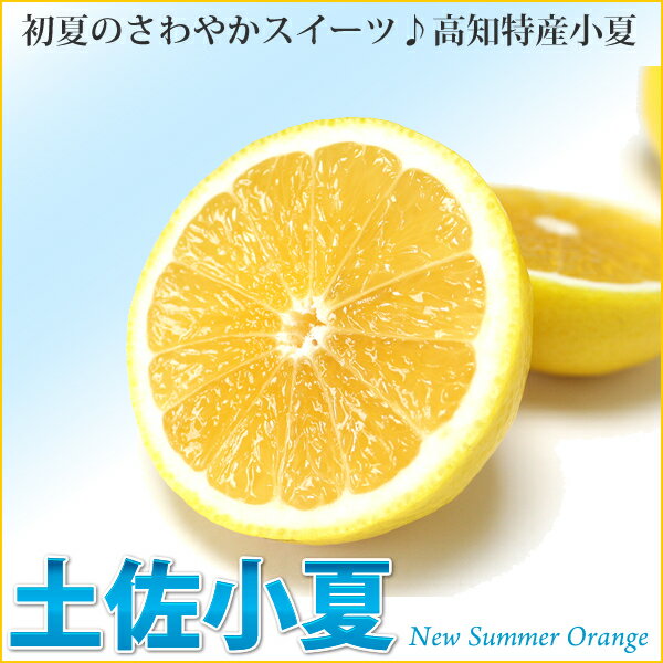 【送料無料！】【ご家庭用】高知特産 小夏（こなつ）[ニューサマーオレンジ]5kg　サイズ：S　【北海道・沖縄にお届けの場合、別途送料575円必要となります。】 実用的 ギフト 父の日 プレゼント 実用的 お中元 御中元