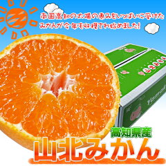 https://thumbnail.image.rakuten.co.jp/@0_mall/tosachinmi/cabinet/fruits/mikan990-thum.jpg