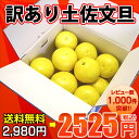 【北海道・沖縄にお届けの場合は575円必要です。】高知産土佐文旦(シミ・キズあり)を訳あり特価&送料無料で♪【マラソン201302_訳あり】【送料無料(北海道・沖縄は別当送料が必要です)】レビュー総数1000件突破★絶賛販売中!!文旦★訳あり土佐文旦(露地)10kg 玉数・サイズおまかせ(小玉・中玉)【ご家庭用】【送料無料_spsp1304】【訳あり_spsp1304】