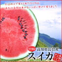 【送料無料】高知産長引　超大玉　スイカ（すいか）　1玉・6Lサイズ・約10.0kg　品種：甘湧　（外 ...