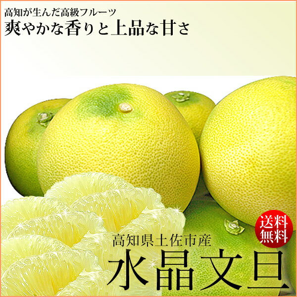 【5/30 9:59まで全品ポイント2倍】 水晶文旦 3kg 7玉 【 送料無料 】 文旦 ぶんたん お取り寄せ お取り寄せグルメ 温室 水晶 ざぼん 内祝い 出産祝い 結婚祝い 還暦祝い カタログセット 誕生日 フルーツ 果物 柑橘 みかん 実用的 ギフト 父の日 プレゼント 実用的