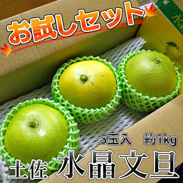 【2箱で送料無料】高知県産　水晶文旦　お試しセット　3玉入　約1kg【楽ギフ_のし】【楽ギフ_のし宛書】 実用的 敬老の日 敬老 プレゼント 孫 80代 ギフト