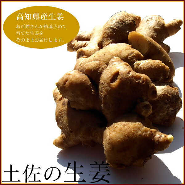 \ 店内全品 ポイント2倍 / 生姜 ( しょうが ) 高知県産 1kg 生姜大国の土佐よりお届けします! 食品 お取り寄せ お取り寄せグルメ おつまみ グルメ...