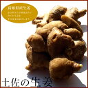 生姜 ( しょうが ) 高知県産 1kg 生姜大国の土佐よりお届けします! 食品 お取り寄せ お取り寄せグルメ おつまみ グルメ 食べ物 ご自宅で楽しめる お家...