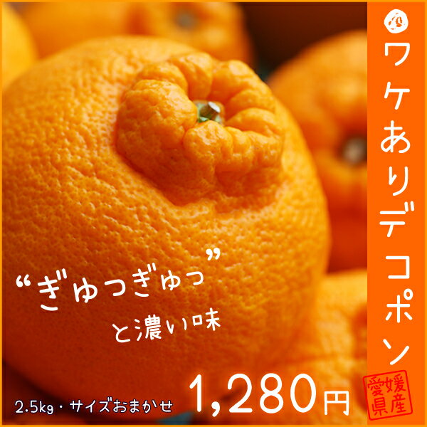 【複数購入で特典付＆送料無料】愛媛県産　ワケありデコポン(でこぽん)　2.5kg　サイズ：おまかせ 訳あり デコポン フルーツ 家庭用 果物 産地直送 お取り寄せ グルメ スイーツ 実用的 ギフト 父の日 プレゼント 実用的