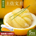 【 予約販売 】土佐文旦 約 5kg 入り 高知県 文旦 ぶんたん 高知 果物 柑橘 デザート おやつ お取り寄せ グルメ 食品 大容量 詰め合わせ フルーツ 詰め合わせ みかん ボンタン 実用的 ギフト 御 母の日 ギフト プレゼント 母の日プレゼント