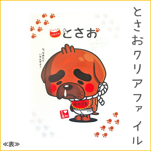  Ź ݥ2  ڹθۤȤA4ꥢե롡/ʸ˼/饯/A4ե/ں Ū ե ...
