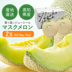 https://thumbnail.image.rakuten.co.jp/@0_mall/tosachinmi/cabinet/kochi/maskmeron/2melon_01.jpg