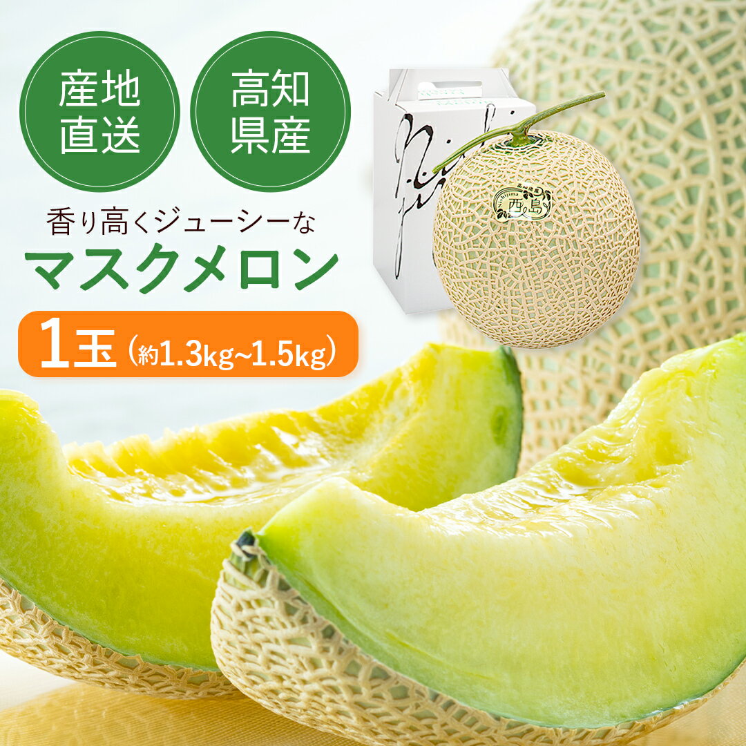 フルーツ盛り合わせ 高級 マスクメロン 1玉 約 1.3～1.5kg【 ご家庭用 】【 送料無料 】※但し、北海道・沖縄は別途送料が必要( 西島園芸団地 ) お取り寄せ フルーツ メロン 高知 実用的 ギフト 母の日 ギフト プレゼント 母の日プレゼント 父の日 プレゼント