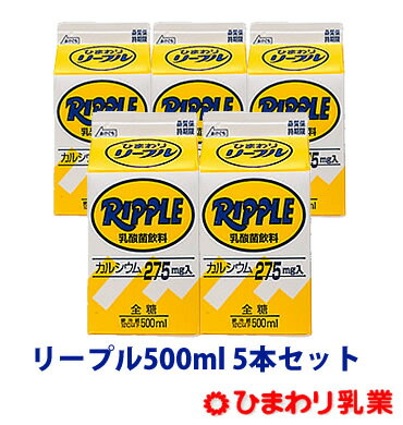 【11日1:59まで全品ポイント2倍】 高知限定 リープル 500ml 5本セット お取り寄せ グルメ 乳酸飲料 紙パック ジュース 詰め合わせ セット まとめ買い 特産物 お土産 お祝い 贈り物 プチ子ども 大容量 実用的 ギフト 父の日 プレゼント 実用的 お中元 御中元