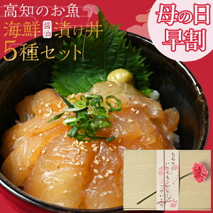 【 母の日 早割 2,980円～ 】海鮮丼5種 お取り寄せ お取り寄せ魚 刺身 高知 海鮮 内祝い 出産祝い 結婚祝い 還暦祝い 入 実用的 ギフト 海鮮丼 漬け丼 食品 食べ物 母の日 ギフト プレゼント 母の日プレゼント オシャレ おしゃれ ギフト