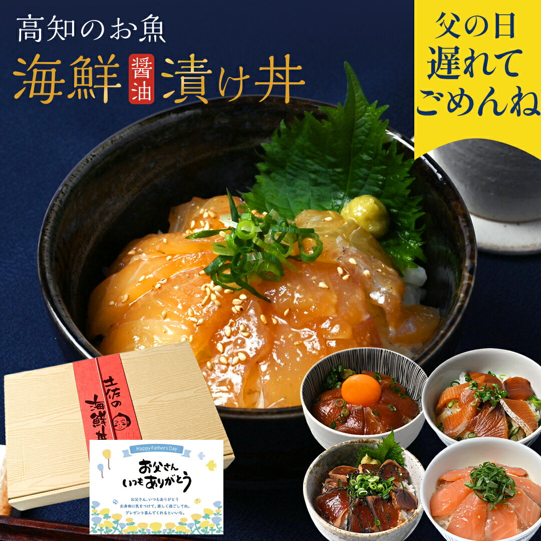 父の日 遅れてごめんね 海鮮丼セッ�