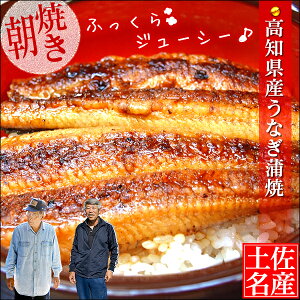 お中元 御中元 【 送料無料 】高知県産 生うなぎ 蒲焼 3尾 ( 160g × 3 ) ギフト 鰻 ウナギ うなぎ 高知 お取り寄せ 鰻 国産 セット かば焼き 食品 グルメ うなぎの蒲焼き 高級グルメ 実用的 夏 ギフト 贈り物 プレゼント