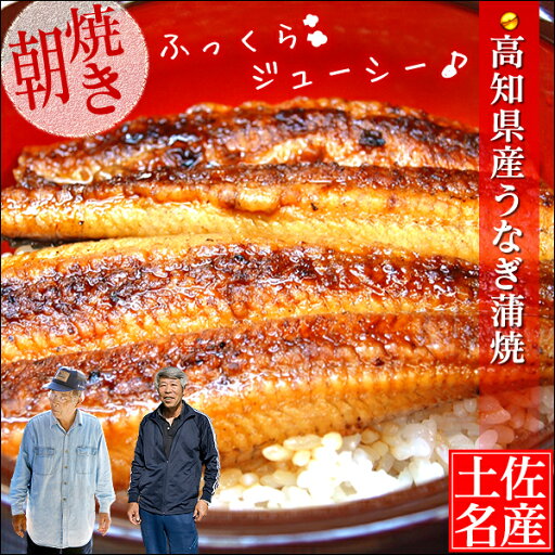 \ 店内全品 ポイント2倍 / 【 送料無料 】高知 県産 生うなぎ蒲焼 2尾 ( 160g × 2 )鰻 ウナギ うなぎ 高知 お取り寄せ グルメ 鰻 国産 うなぎ セット 食品 グルメ うなぎの蒲焼き 高級 グルメ 実用的 ギフト 人気 父の日 \ 店内全品 ポイント2倍 / 【 送料無料 】高知 県産 生うなぎ蒲焼 2尾 ( 160g × 2 )鰻 ウナギ うなぎ 高知 お取り寄せ グルメ 鰻 国産 うなぎ セット 食品 グルメ うなぎの蒲焼き 高級 グルメ 実用的 ギフト 人気 父の日