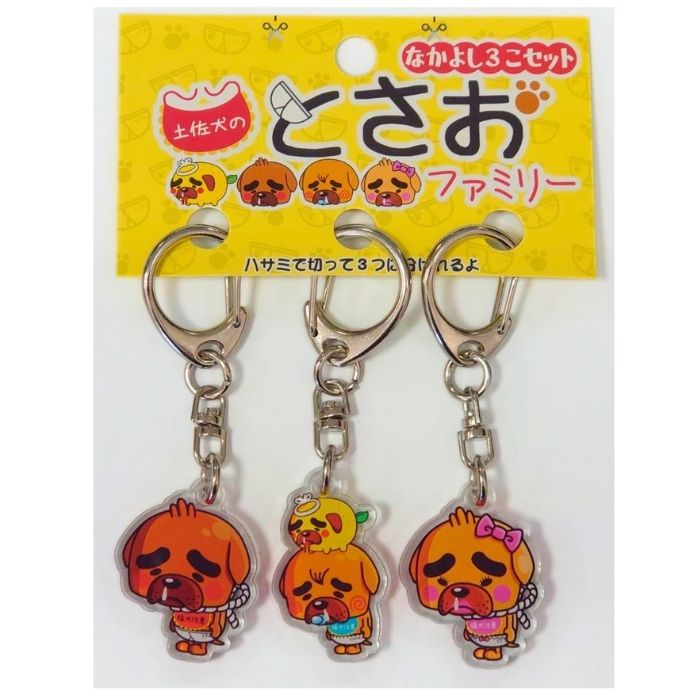 楽天珍味堂　ひろめ店＼ 店内全品 ポイント2倍 ／ 【高知限定】とさお キーホルダー なかよし3個セット　【※10】ギフト 人気 父の日