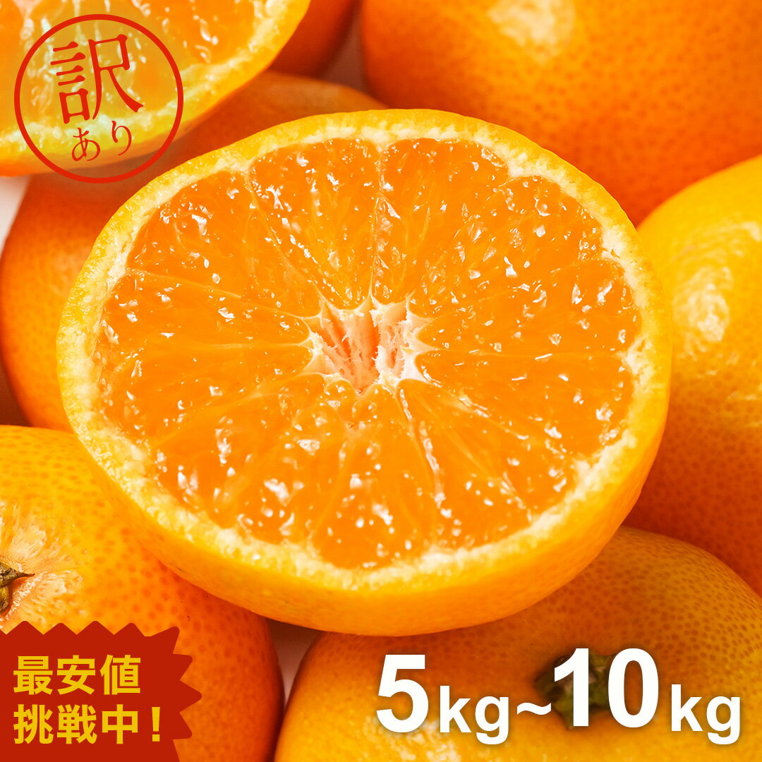 お歳暮 御歳暮 冬ギフト クリスマス 訳あり 温州 みかん 5kg 10kg【 送料無料 】愛媛県産 ミカン 蜜柑 箱買い フルーツ 果物 青果 柑橘 柑橘類 訳アリ 甘い 家庭用 食品 大容量