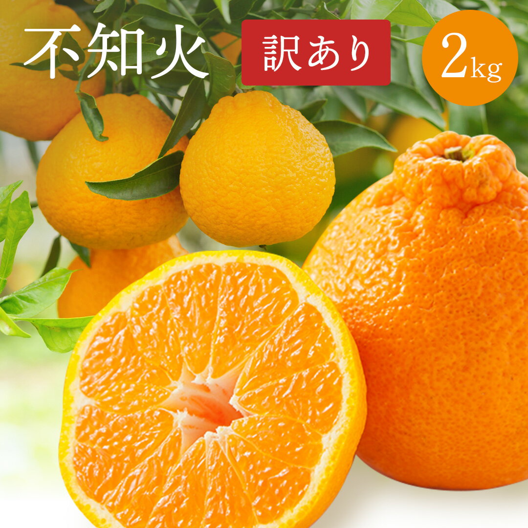 訳あり不知火 （ しらぬい ） 2kg 【 2箱購入で1kgサービス 】 不知火 訳あり 不揃い 傷 清見 ポンカン フルーツ 果物 くだもの みかん 蜜柑 青果 柑橘類 かんきつ 甘い 甘味 果汁 ビタミン ビタミンC アレンジ オレンジ オレンジジュース オレンジゼリー オレンジピールのサムネイル