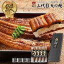 【期間限定クーポンご利用で5%OFF】うなぎ ギフト 三代目 天の鰻高知県産【蒲焼き】4尾セット うなぎの蒲焼き 贈答用 国産 鰻 高知県産うなぎ蒲焼 セット ...